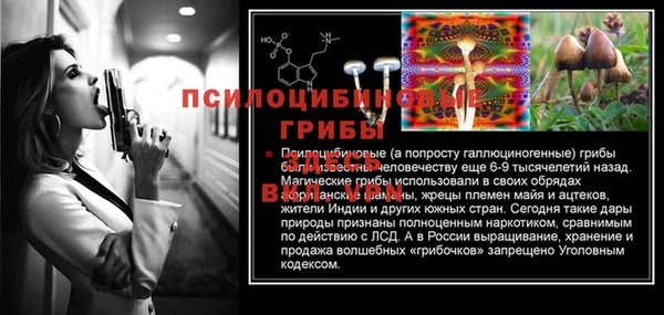 дмт Вязники