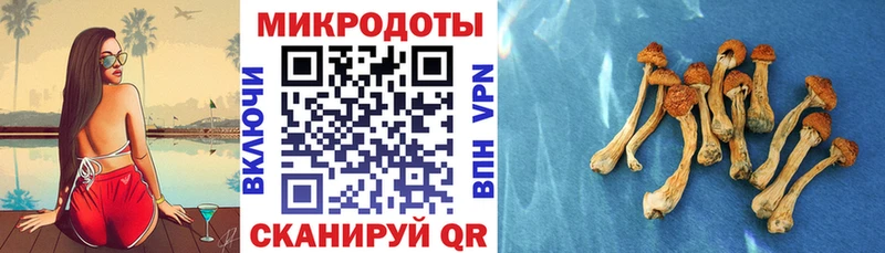 KRAKEN ССЫЛКА Исилькуль Псилоцибиновые грибы ЛСД